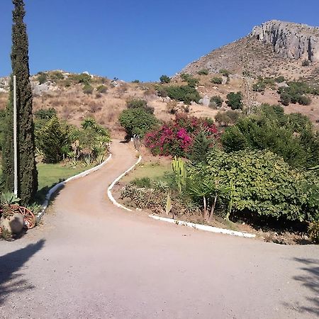 Finca Santa Matilde مالقة المظهر الخارجي الصورة