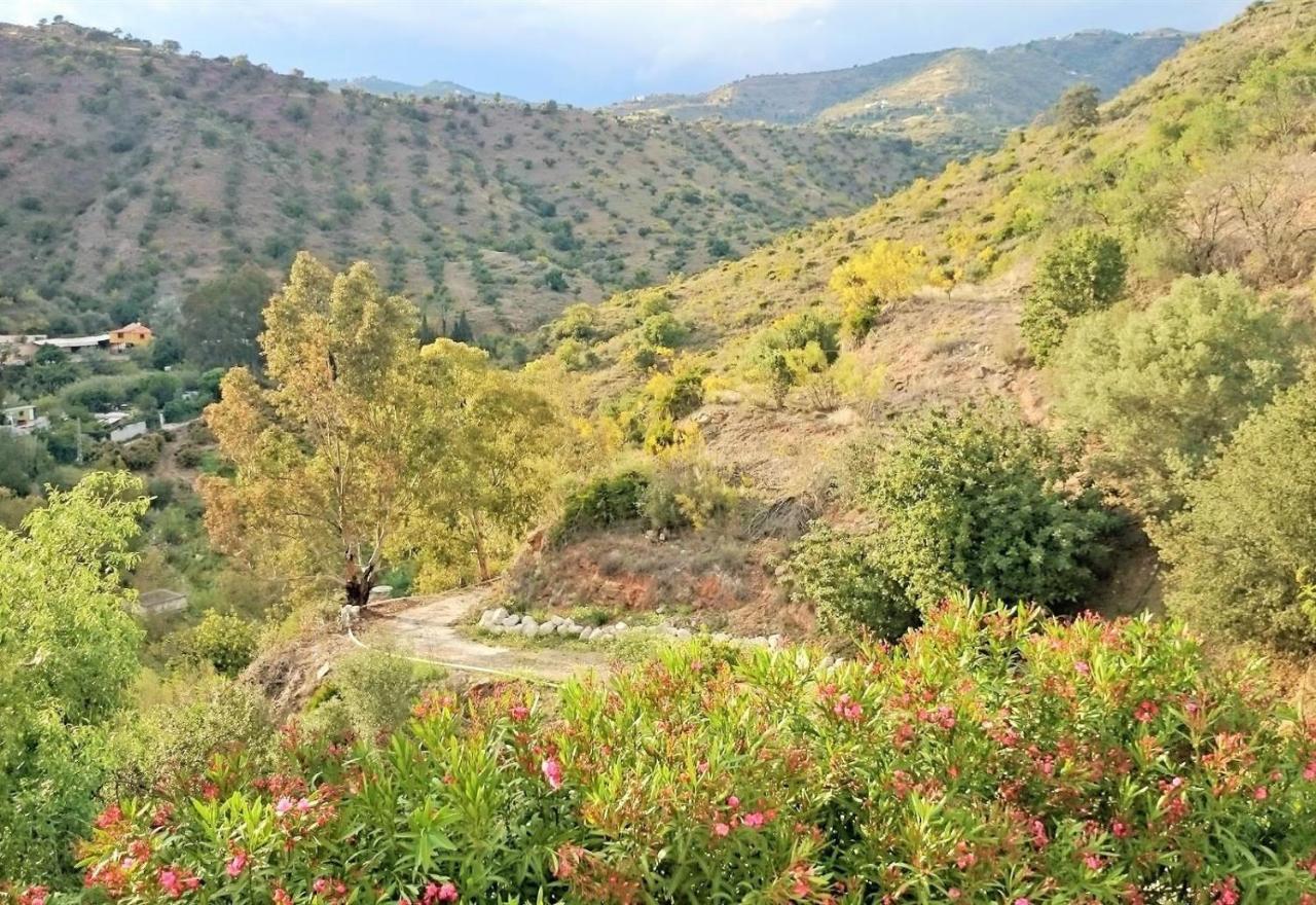 Finca Santa Matilde مالقة المظهر الخارجي الصورة