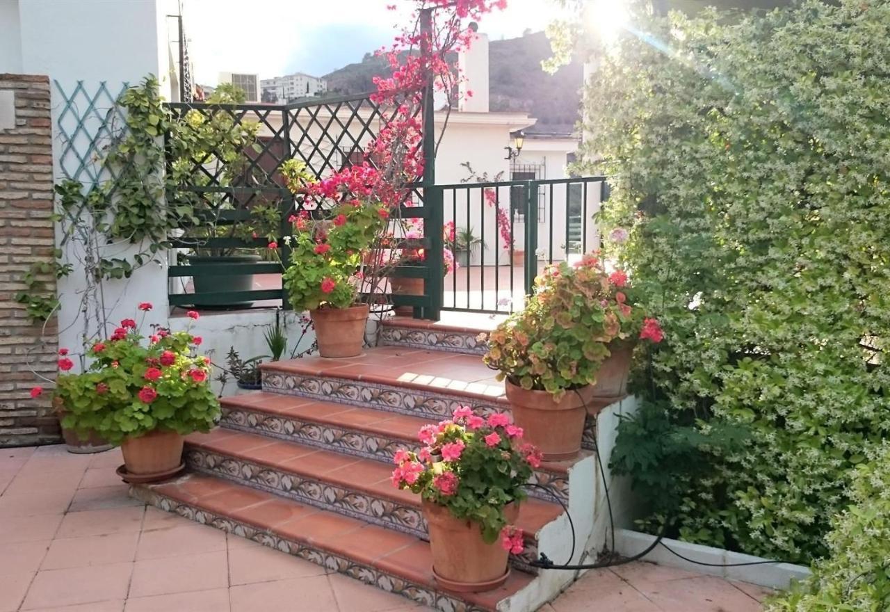 Finca Santa Matilde مالقة المظهر الخارجي الصورة