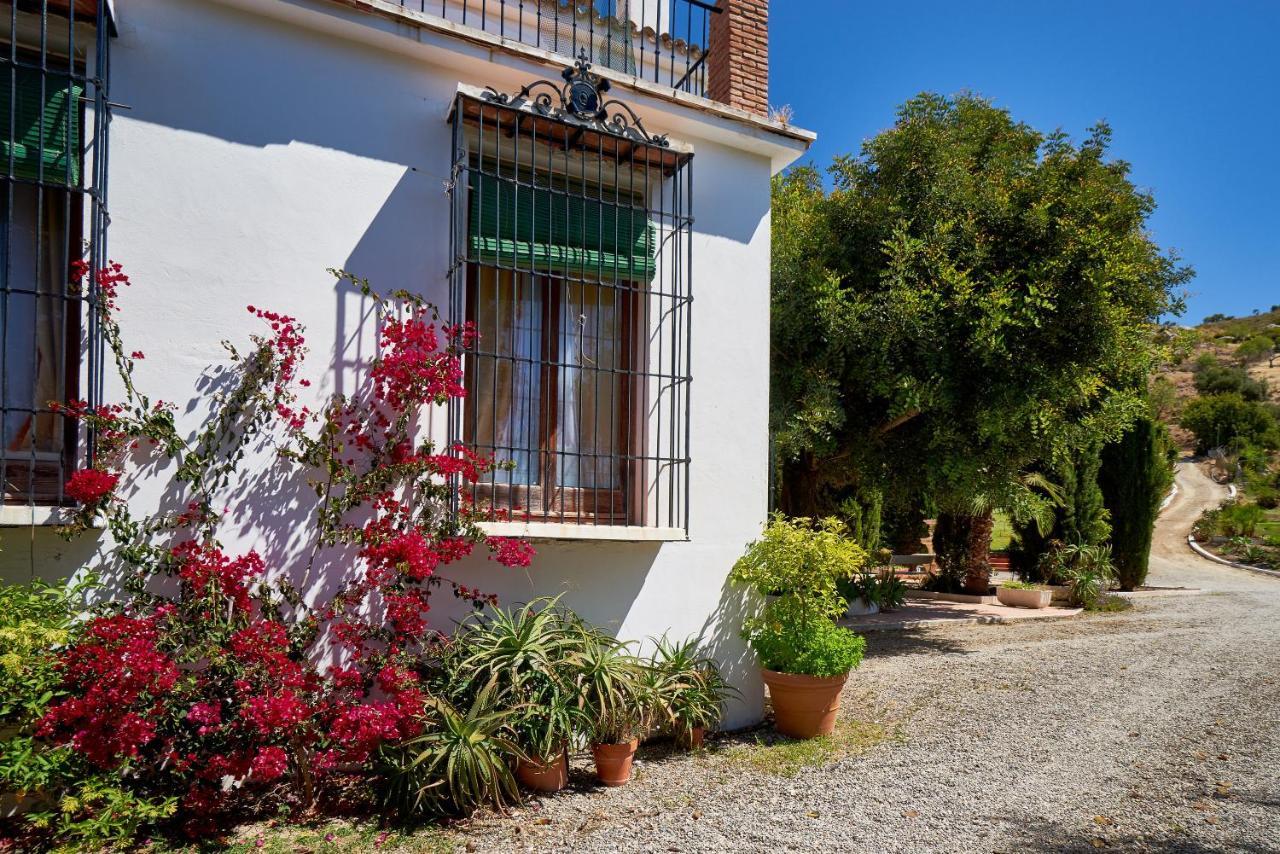 Finca Santa Matilde مالقة المظهر الخارجي الصورة