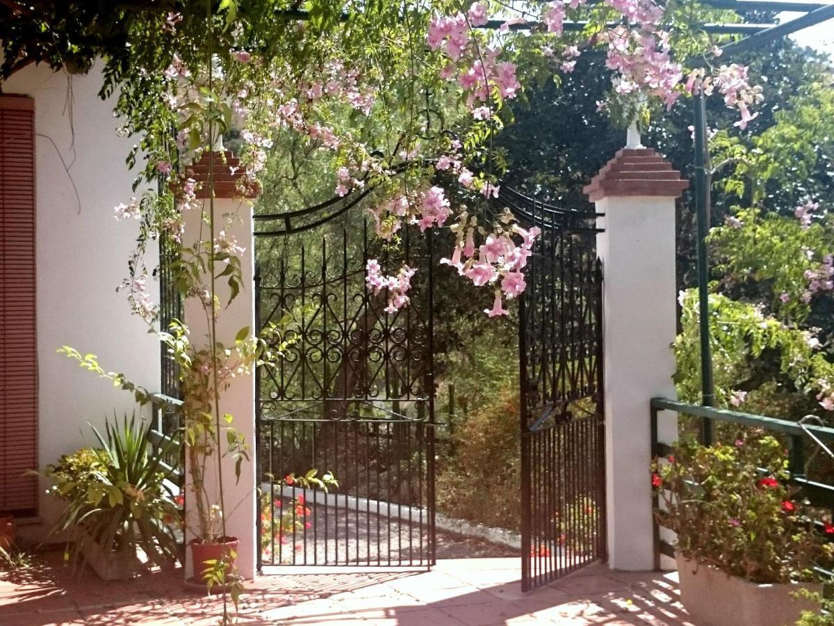 Finca Santa Matilde مالقة المظهر الخارجي الصورة