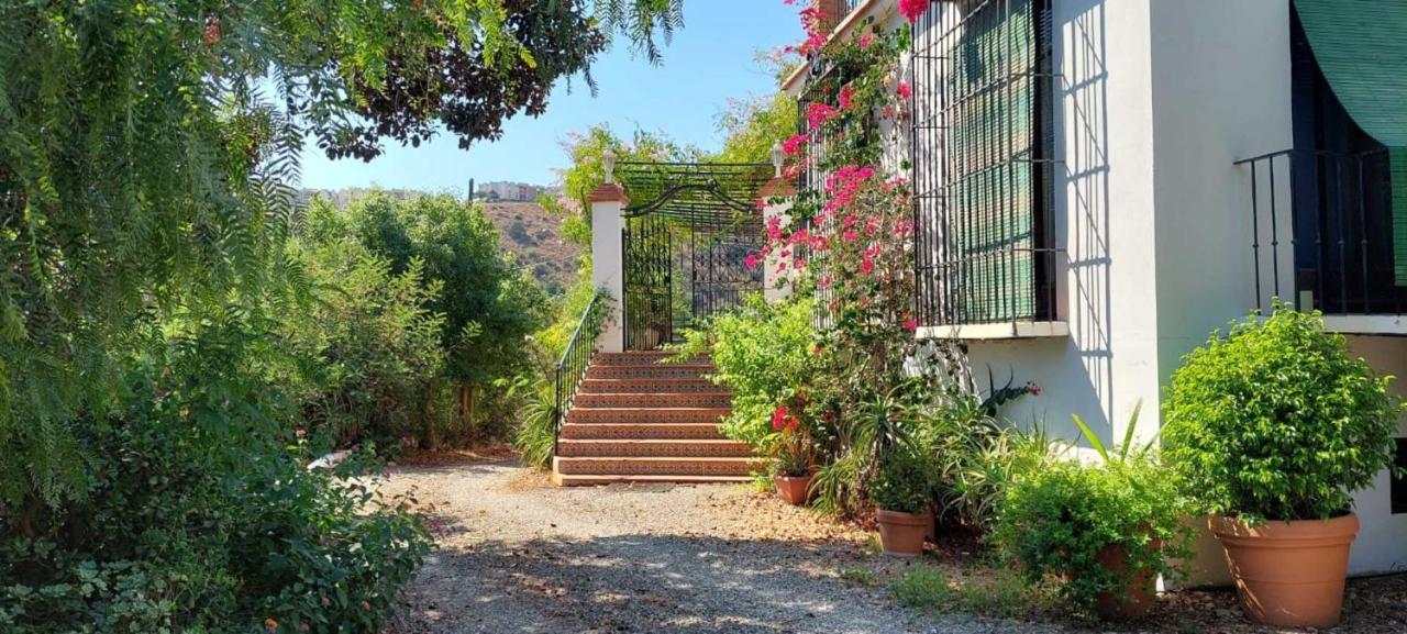 Finca Santa Matilde مالقة المظهر الخارجي الصورة