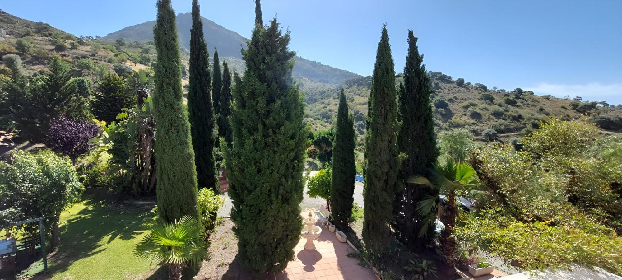 Finca Santa Matilde مالقة المظهر الخارجي الصورة