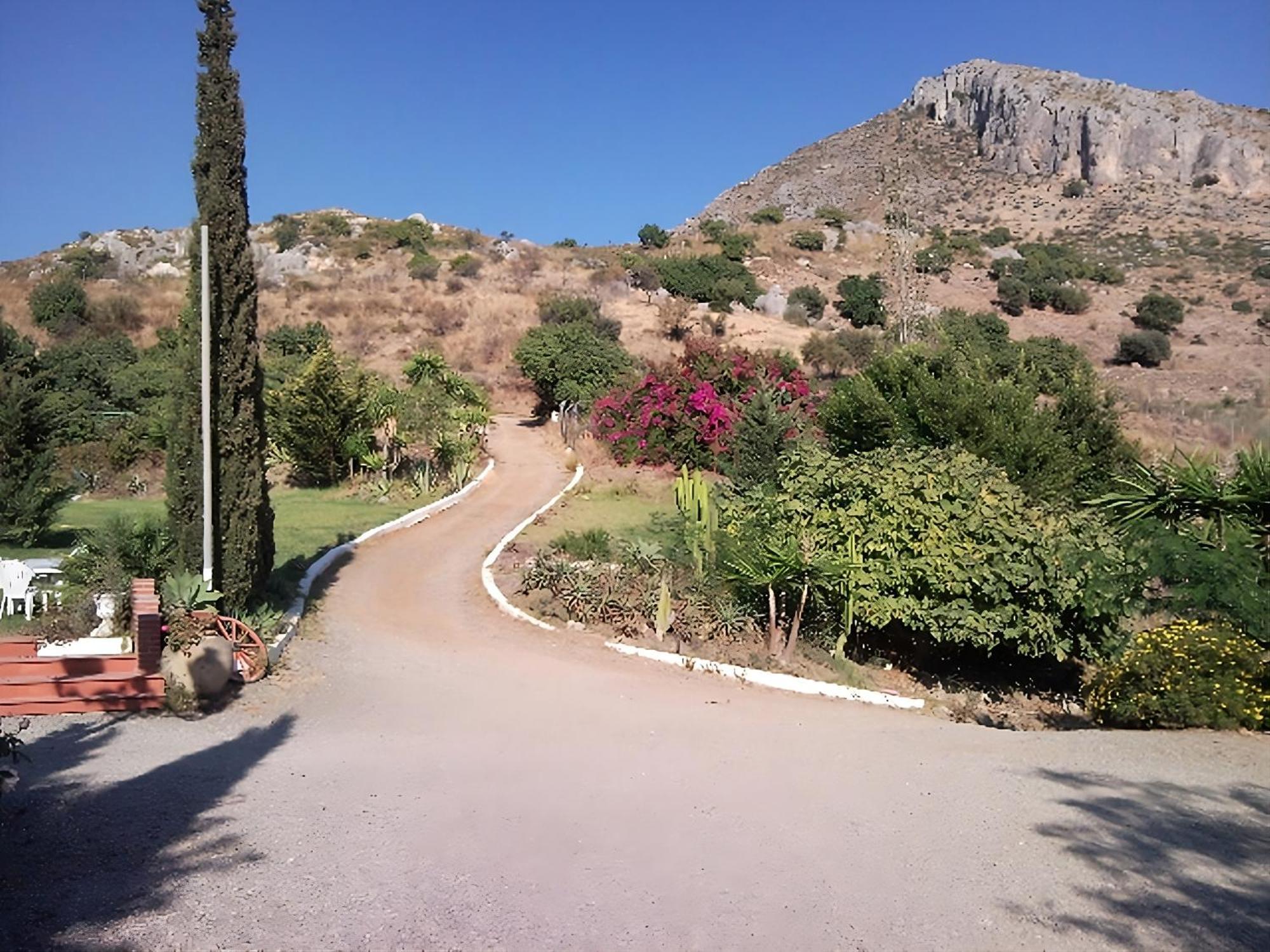 Finca Santa Matilde مالقة المظهر الخارجي الصورة